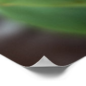 gele rode tulpen poster (Hoek)