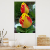 gele rode tulpen poster (Keuken)