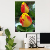 gele rode tulpen poster (Thuiskantoor)