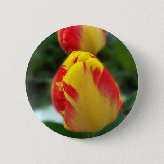 gele rode tulpen ronde button 5,7 cm (Voorkant)