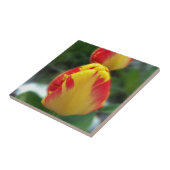 gele rode tulpen tegeltje (Zijkant)