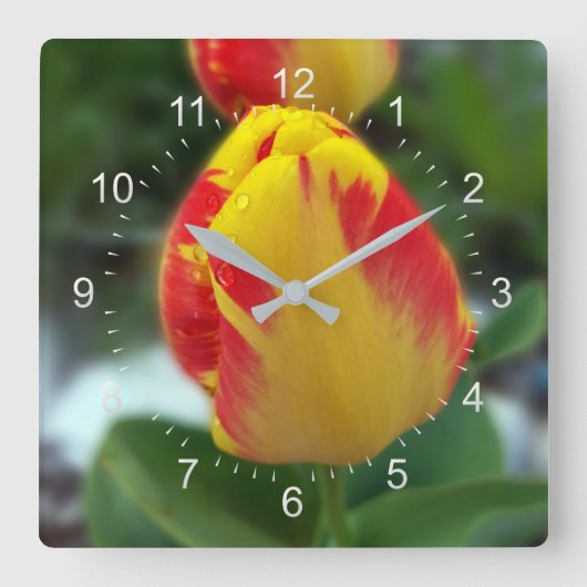gele rode tulpen vierkante klok (Voorkant)