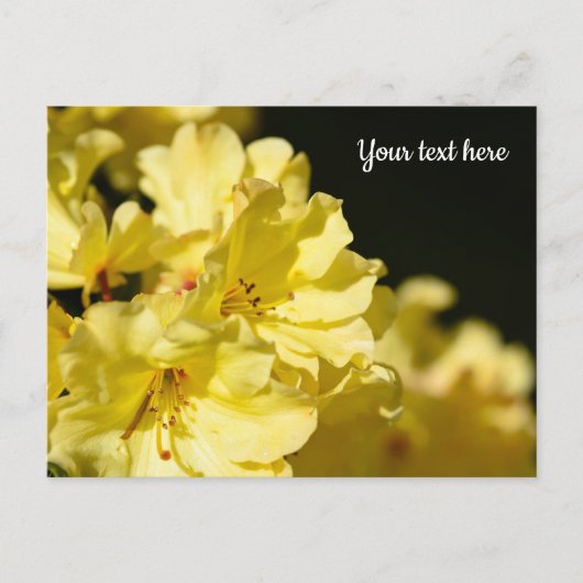 Gele Rododendron Ansichtkaart Briefkaart (Voorkant)