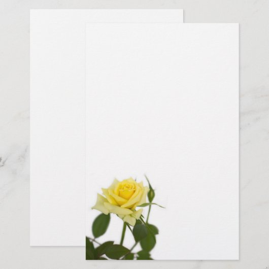 Gele rog briefpapier (Voorkant / Achterkant)