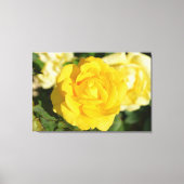 Gele rog canvas afdruk (Voorkant)