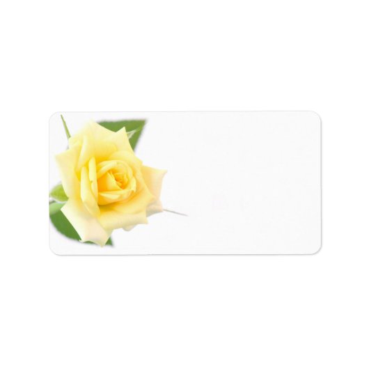 Gele rog etiket (Voorkant)