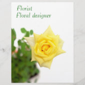 Gele rog flyer (Voorkant)