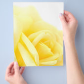 Gele rog flyer (Hand)