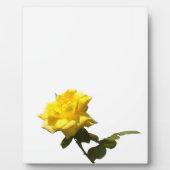 Gele rog fotoplaat (Voorkant)