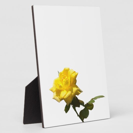 Gele rog fotoplaat (Zijkant)