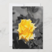 Gele rog kaart (Achterkant)