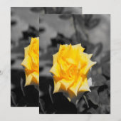 Gele rog kaart (Voorkant / Achterkant)