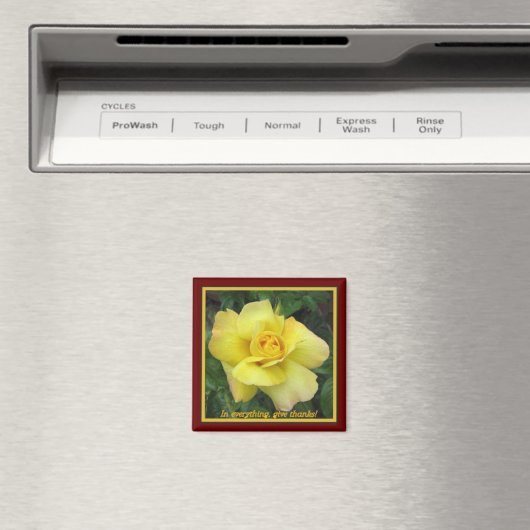 Gele rog magneet (Insitu (Vaatwasser))