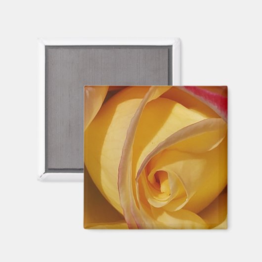 Gele rog magneet (Voorkant / Achterkant)