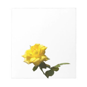 Gele rog notitieblok