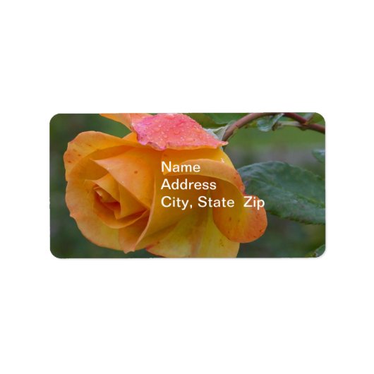 Gele Roos3 Etiket (Voorkant)
