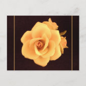 Gele Roos, 2004 Foto. Briefkaart (Voorkant)