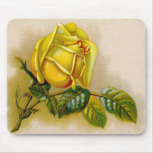 Gele Roos Antieke Vintage Print Fijne Kunst Muismat