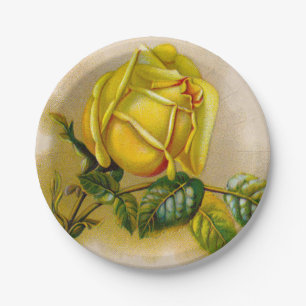 Gele Roos Antieke Vintage Print Fijne Kunst Papieren Bordje
