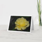 Gele Roos bij Nachtportret Kaart (Voorkant)