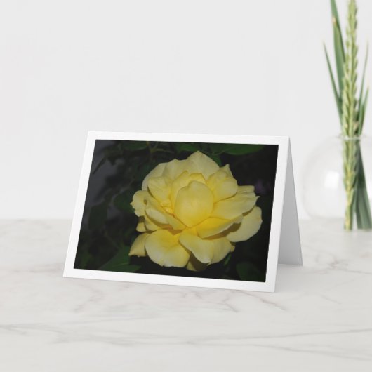 Gele Roos bij Nachtportret Kaart (Voorkant)