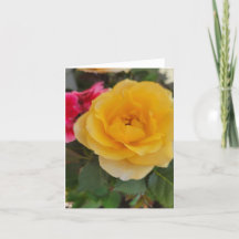 Gele roos bloeit voor mama 