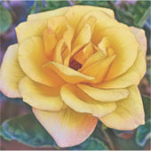 Gele Roos Bloem Kunst Grote Sticker (Voorkant)