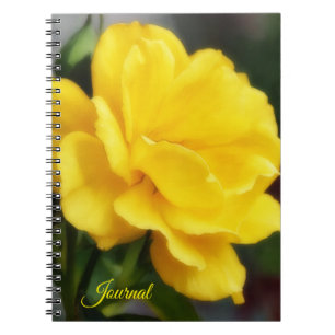 Gele Roos Bloem Kunst Persoonlijk Dagboek Notitieboek