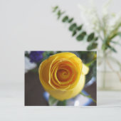 Gele Roos Bloem Macro Fotografie Briefkaart (Staand voorkant)