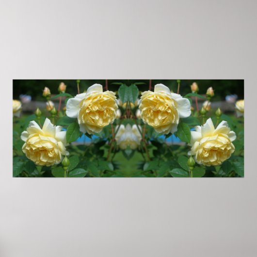 Gele roos bloemen spiegel abstract poster (Voorkant)