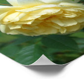 Gele roos bloemen spiegel abstract poster (Hoek)
