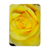 Gele roos bloemenmagneet magneet (Verticaal)