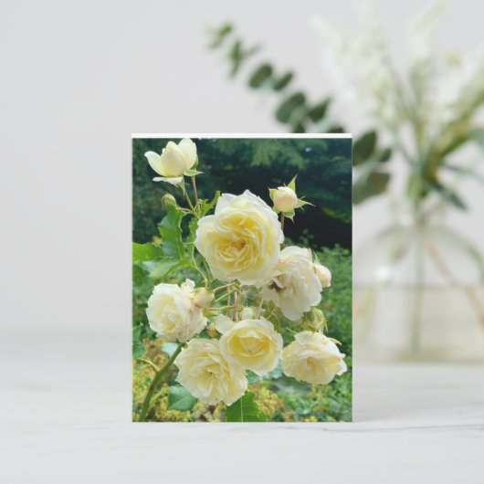 gele roos briefkaart (Staand voorkant)