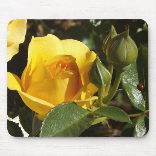 Gele roos en lieveheersbeestje muismat (Voorkant)