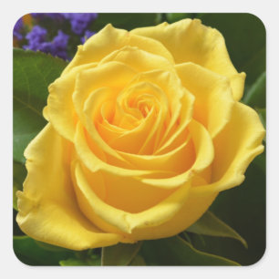 Gele Roos en Paarse Bloemen in Bloemmotief Vierkante Sticker