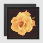 Gele roos, foto uit 2004. (Voorkant / Achterkant)