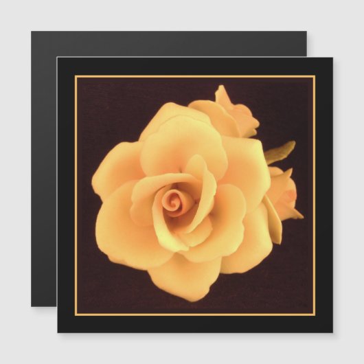 Gele roos, foto uit 2004. (Voorkant / Achterkant)