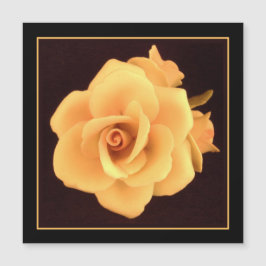 Gele roos, foto uit 2004.