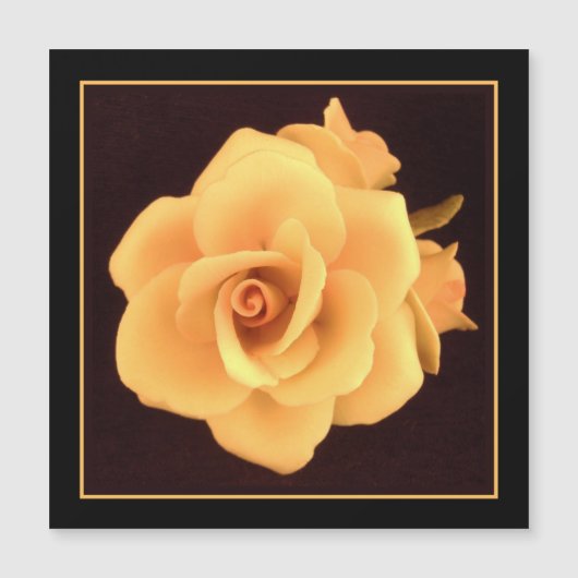 Gele roos, foto uit 2004. (Voorkant)