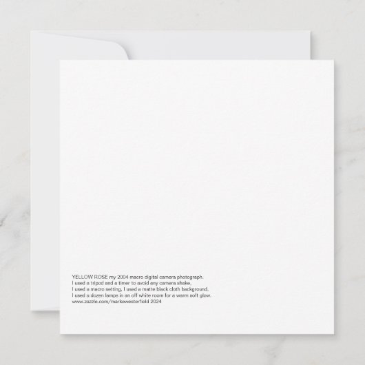 Gele roos, foto uit 2004. (Achterkant)