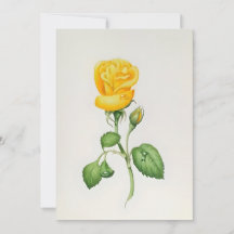 Gele Roos In Waterverf