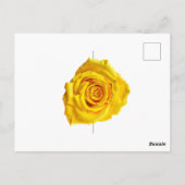 Gele roos kunst briefkaart (Achterkant)