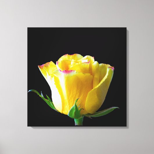 Gele roos kunst canvas afdruk (Voorkant)