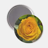 Gele Roos Magneet (Voorkant / Achterkant)