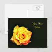 Gele roos met regendruppels briefkaart (Voorkant / Achterkant)