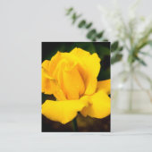 Gele roos - Na de regen Briefkaart (Staand voorkant)