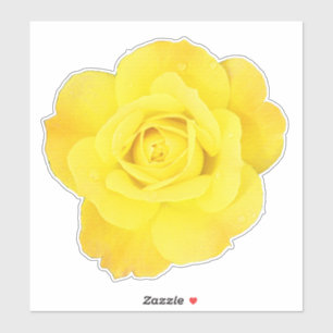 Gele Roos Nationale Vriendschapsdag Bloemen Bloeme Sticker