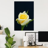 Gele roos op de zwarte achtergrond poster (Thuiskantoor)