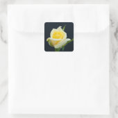 Gele roos op de zwarte achtergrond vierkante sticker (Tas)