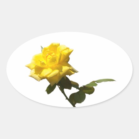 Gele roos ovale sticker (Voorkant)